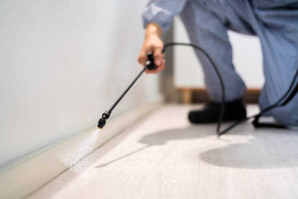 Bed Bug Pre-Treatment Preparation Assessment in Skyline View